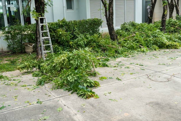 Best Emergency Storm Tree Removal  in Blossom, TX